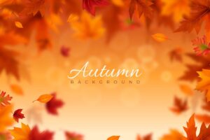 تصویر سه بعدی برگ های پاییزی زرد و نارنجی و قرمز برای استفاده در بنر سایت