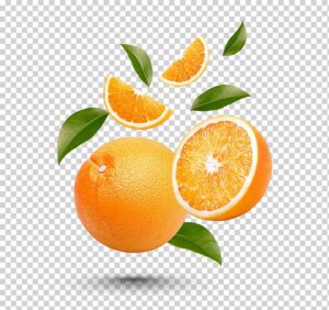 وکتور سه بعدی پرتقال